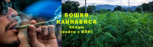 ПСИЛОЦИБИНОВЫЕ ГРИБЫ Беломорск