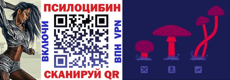 Псилоцибиновые грибы мухоморы это как зайти Киреевск наркотики