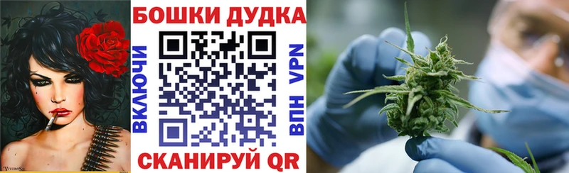 где купить наркотик  Киреевск  Бошки Шишки сатива 